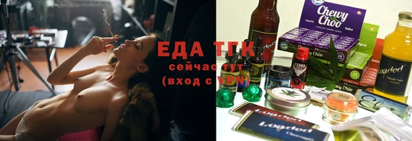 амф Ельня