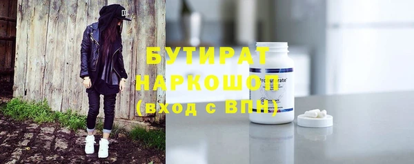 амф Ельня