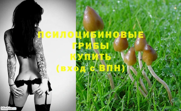 амф Ельня