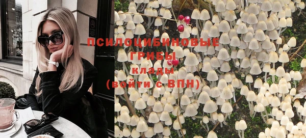 прущие крисы Елизово