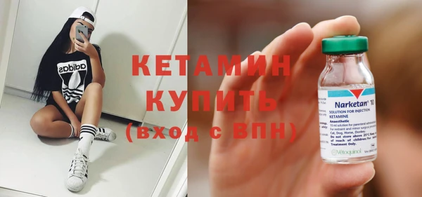 амф Ельня