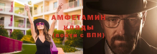 амф Ельня