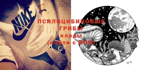 прущие крисы Елизово