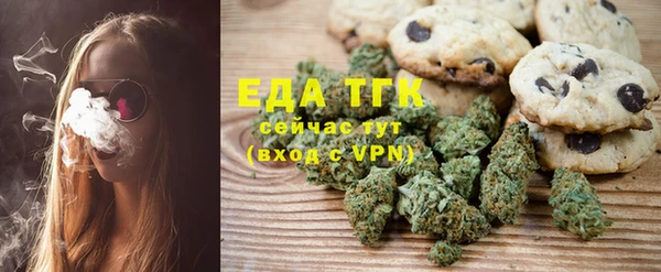 амф Ельня