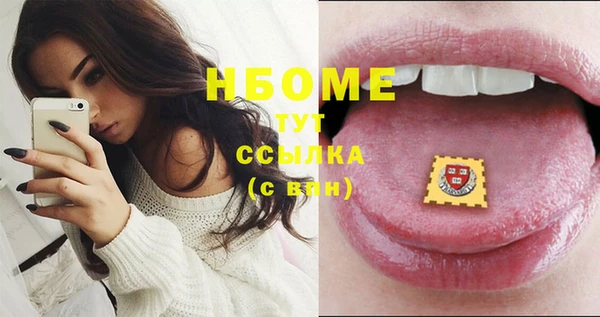 амф Ельня