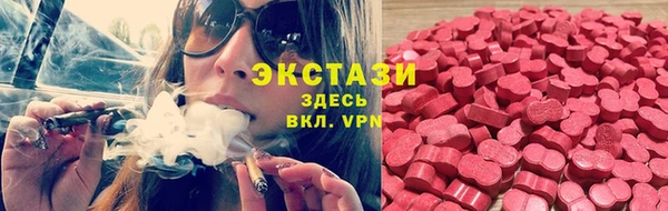 амф Ельня