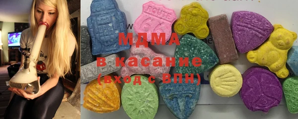 амф Ельня