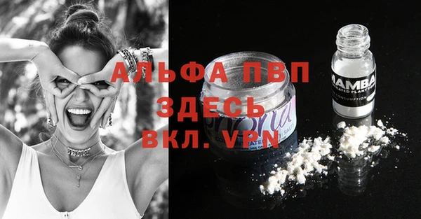 прущие крисы Елизово
