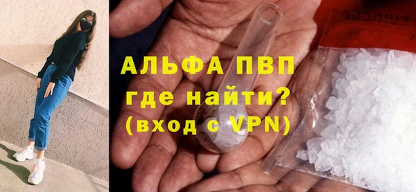 амф Ельня