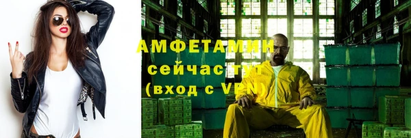 амф Ельня