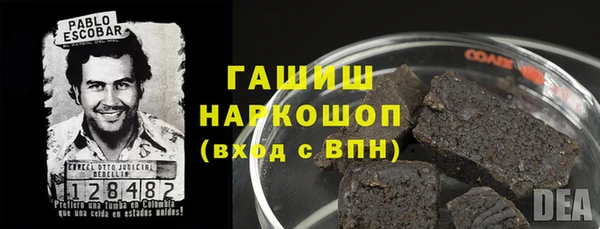 амф Ельня