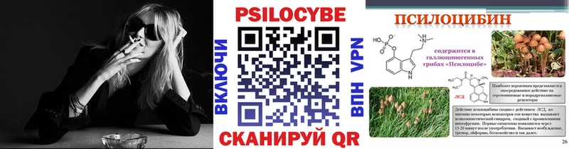 Купить закладки Дзержинский Галлюциногенные грибы Psilocybine cubensis